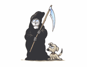 33.gif